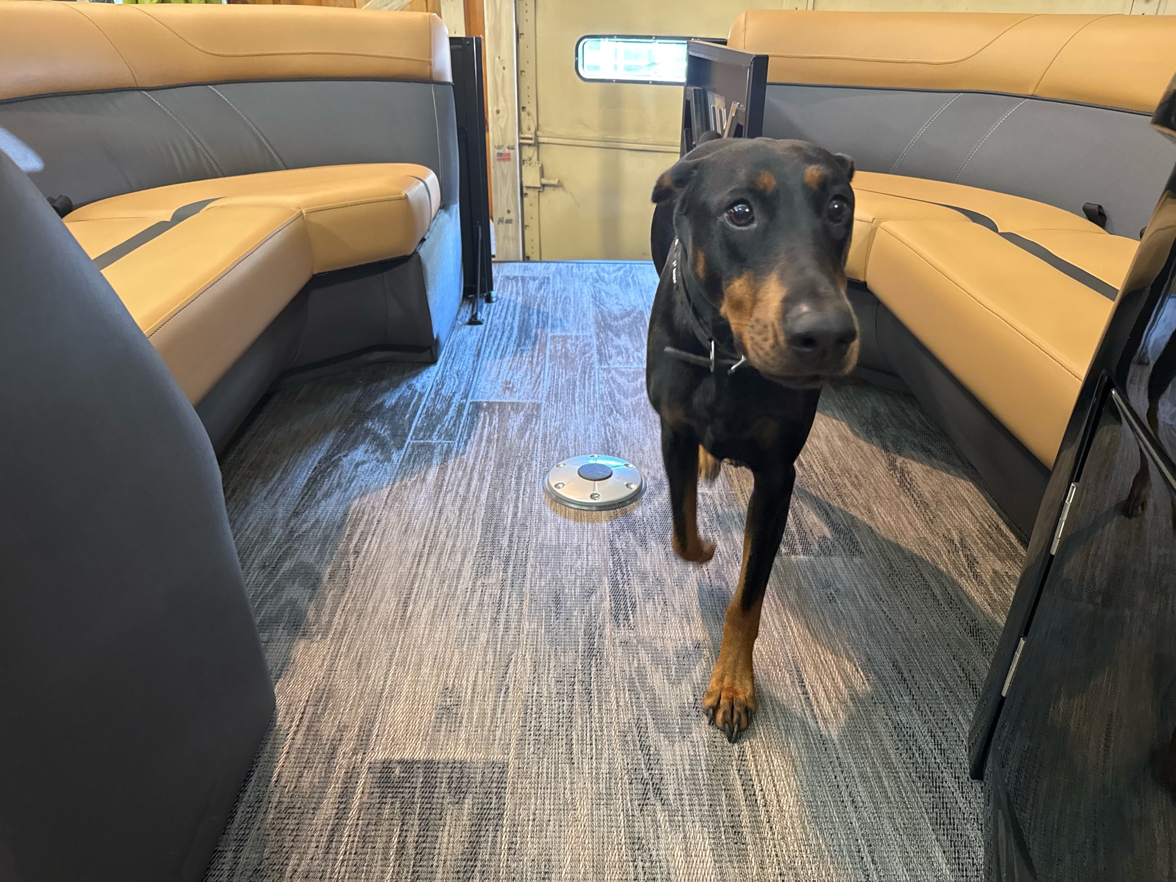 2025 Viaggio X22Q - Image 7